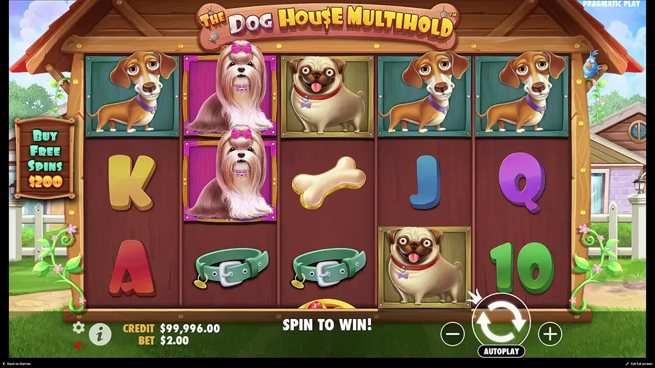 Активировать бонус в the Dog house Multihold
