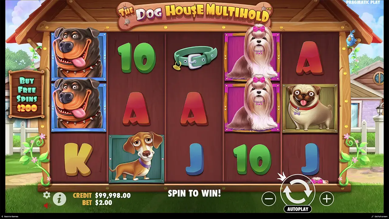 Игра в демо слот the Dog house Multihold для новых игроков